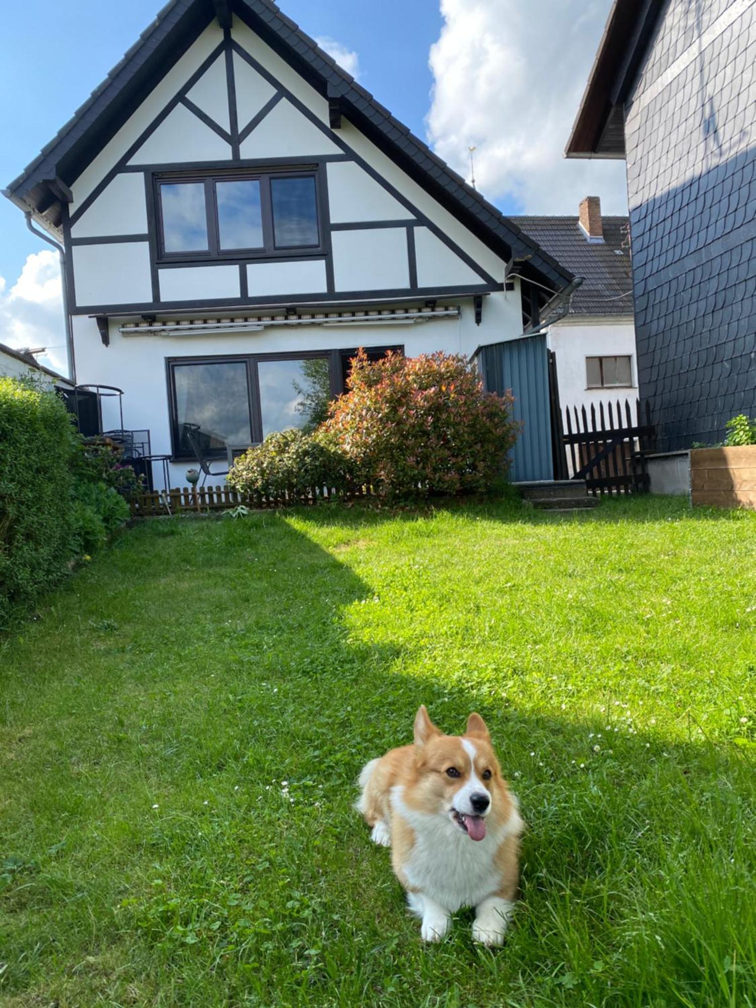 Eifel Luna * Ohlenhard