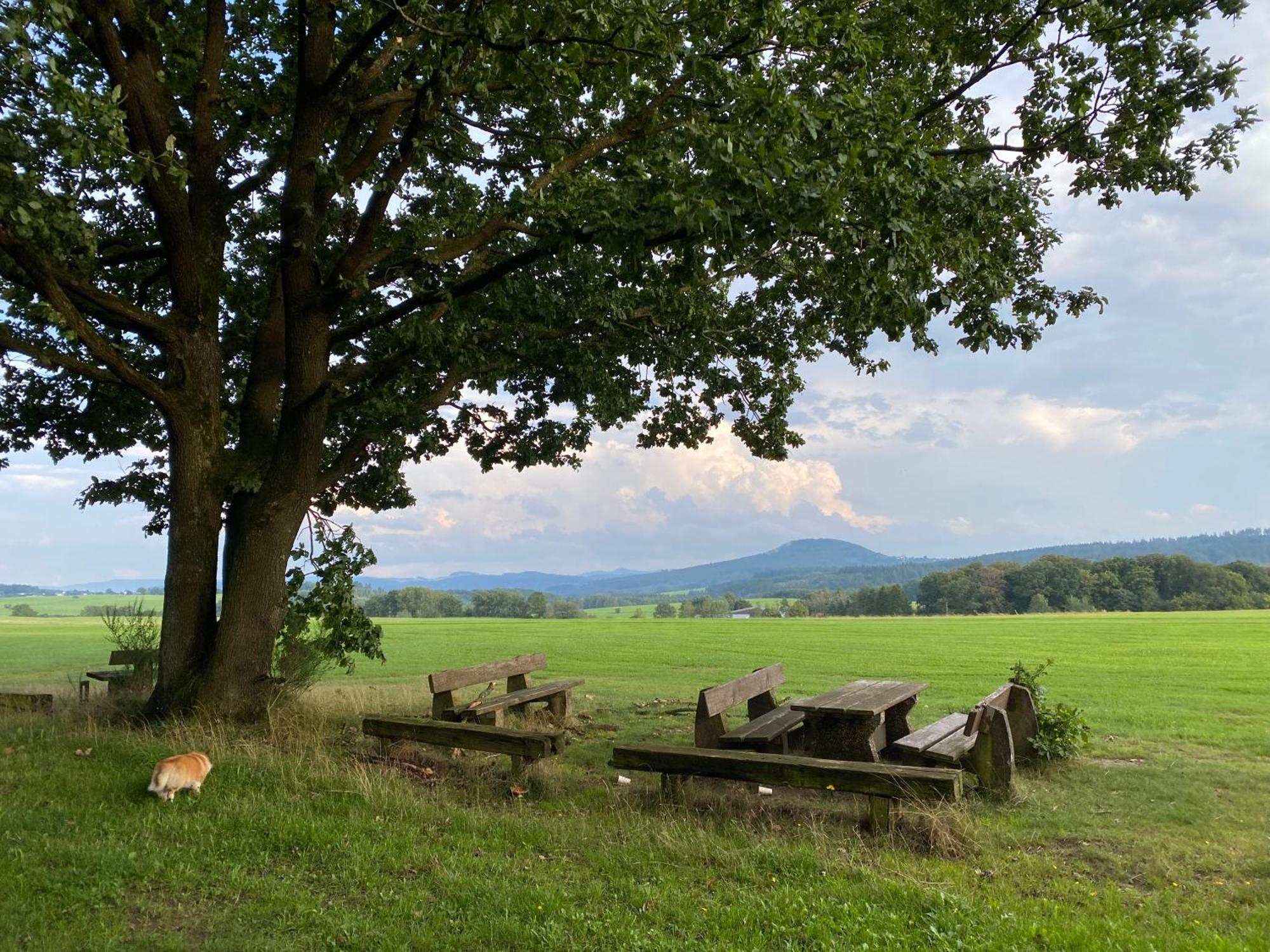 Eifel Luna